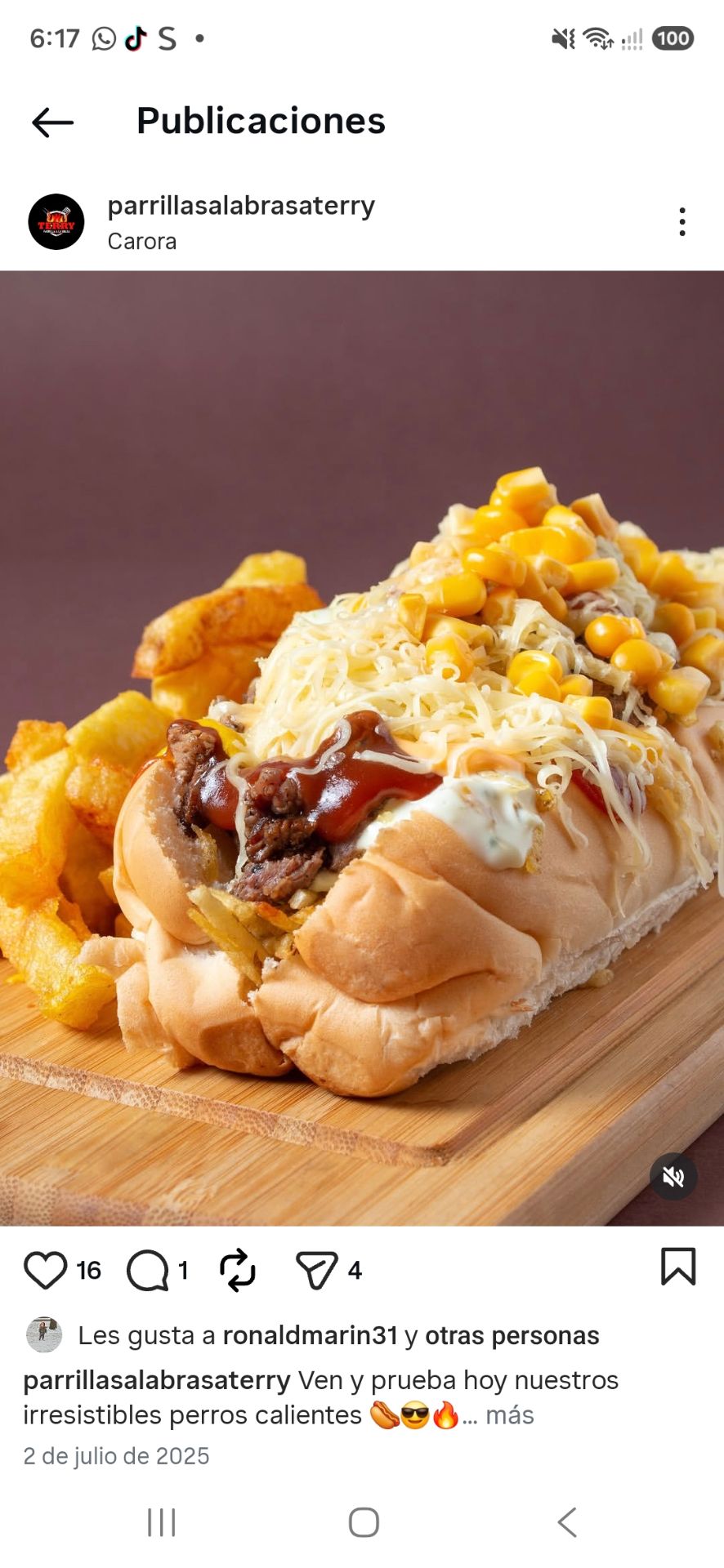 Perro de lomito
