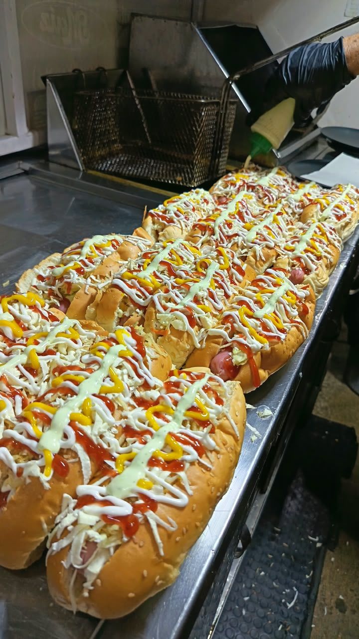 Combo 6 perros